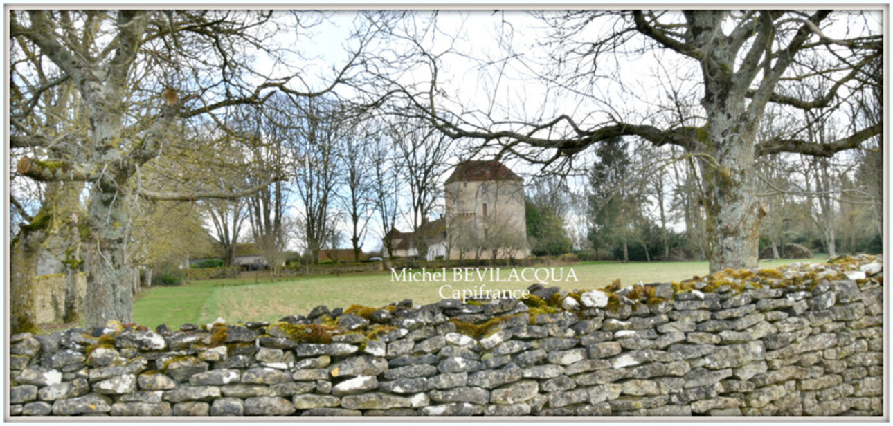 Photos 13 - Prestige - Propriete à vendre le Château d'OUROUER à OUROUER LES BOURDELINS (18) avec dépendances sur plus d'un hectare