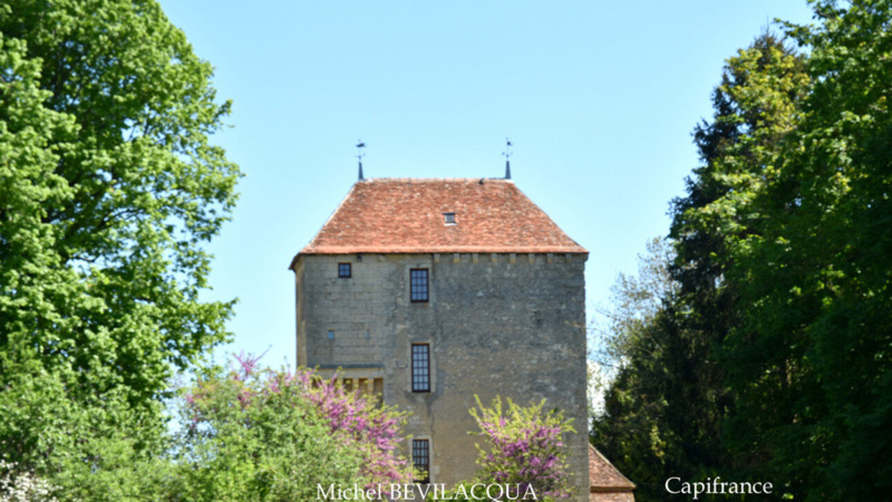 Photos 2 - Prestige - Propriete à vendre le Château d'OUROUER à OUROUER LES BOURDELINS (18) avec dépendances sur plus d'un hectare