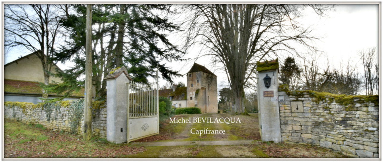 Photos 3 - Prestige - Propriete à vendre le Château d'OUROUER à OUROUER LES BOURDELINS (18) avec dépendances sur plus d'un hectare