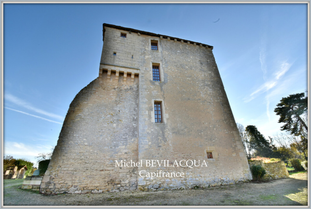 Photos 4 - Prestige - Propriete à vendre le Château d'OUROUER à OUROUER LES BOURDELINS (18) avec dépendances sur plus d'un hectare