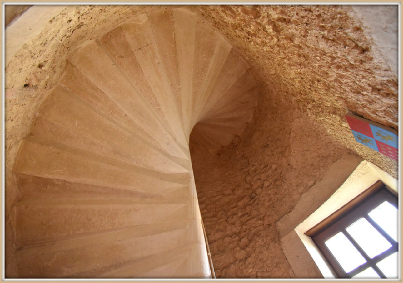 Photos 11 - Prestige - Propriete à vendre le Château d'OUROUER à OUROUER LES BOURDELINS (18) avec dépendances sur plus d'un hectare