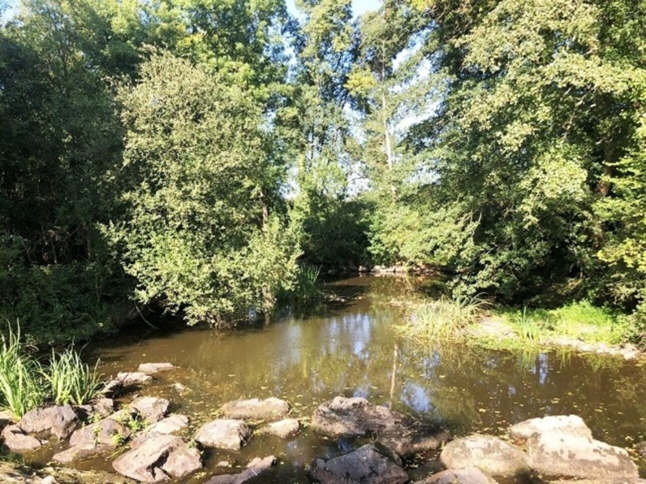 Photos 23 - Touristique - Propriété Moulin à 422 m² ROCHESERVIERE (85)