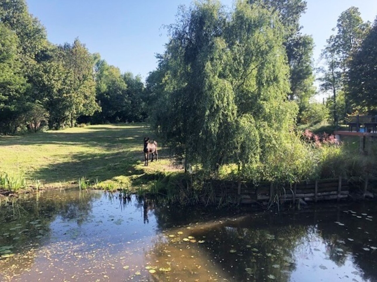 Photos 25 - Touristique - Propriété Moulin à 422 m² ROCHESERVIERE (85)