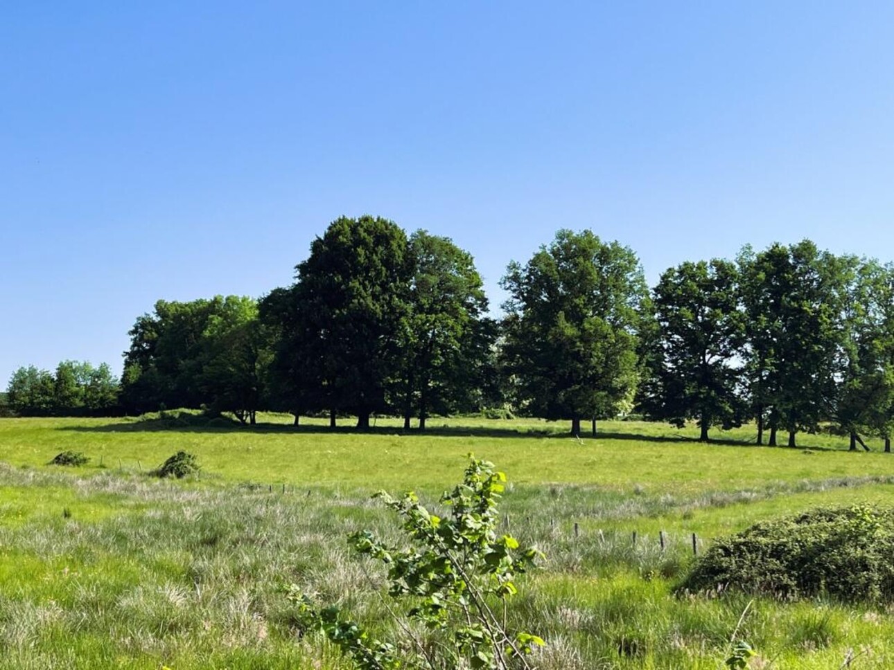 Photos 3 - Agricole - Corps de ferme