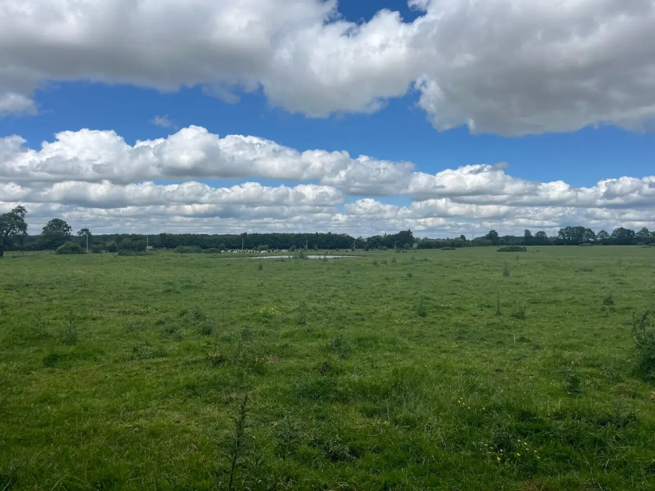 Photos 4 - Prestige - Propriété complète de charme et authentique