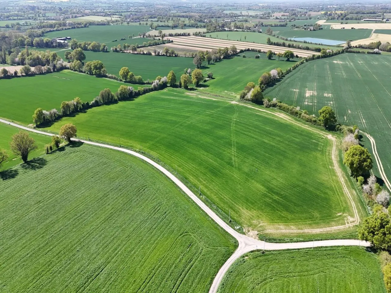 Photos 1 - Land - Terres agricoles louées : placement rentable et durable
