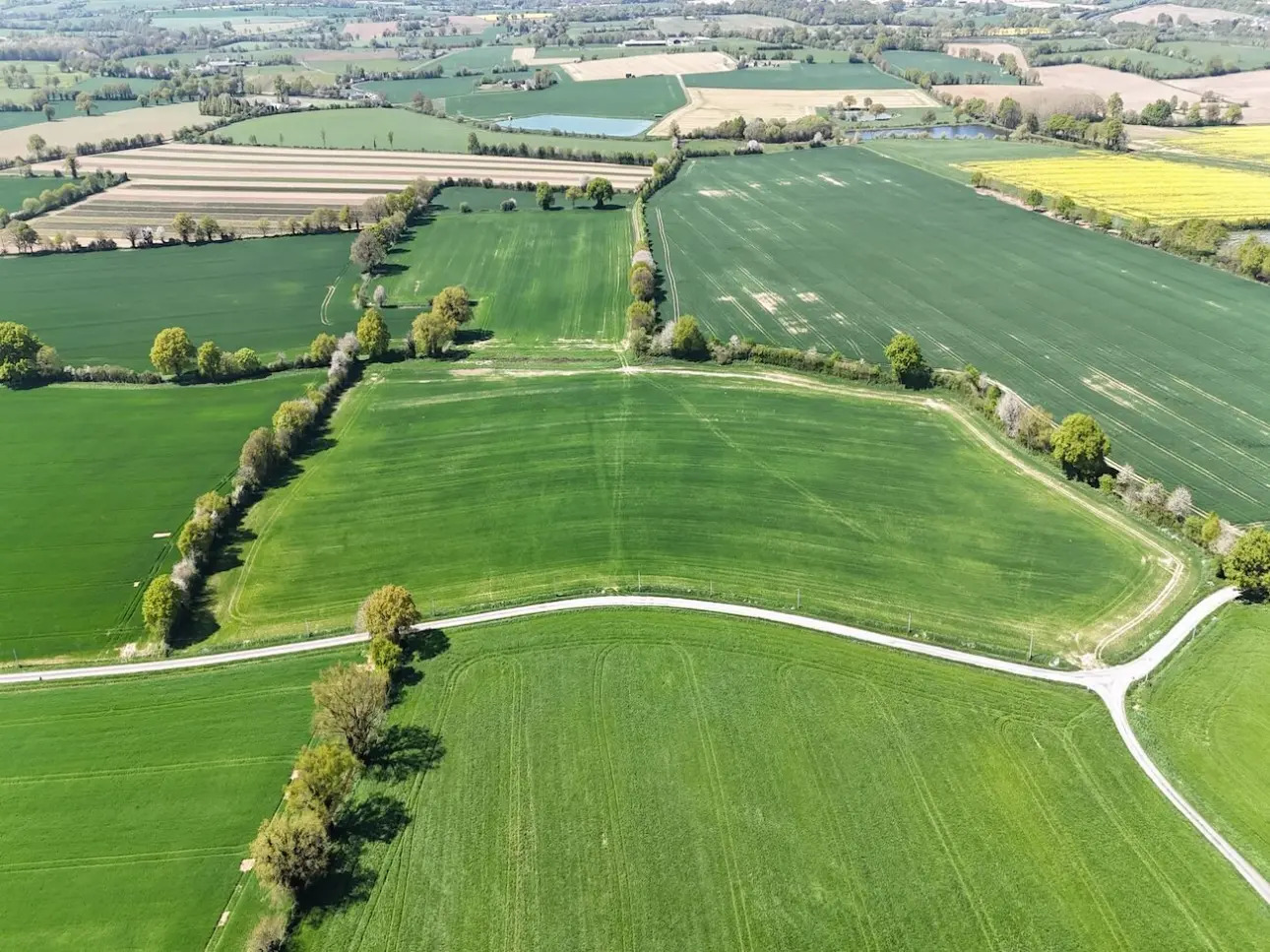 Photos 2 - Land - Terres agricoles louées : placement rentable et durable