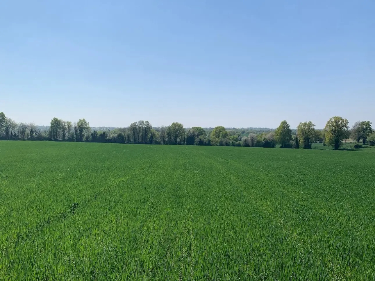 Photos 3 - Land - Terres agricoles louées : placement rentable et durable