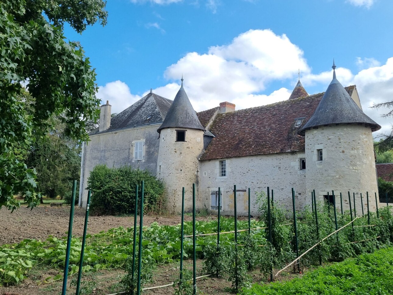 Photos 1 - Agricultural - Charming mansion with 73 ha of land and wood