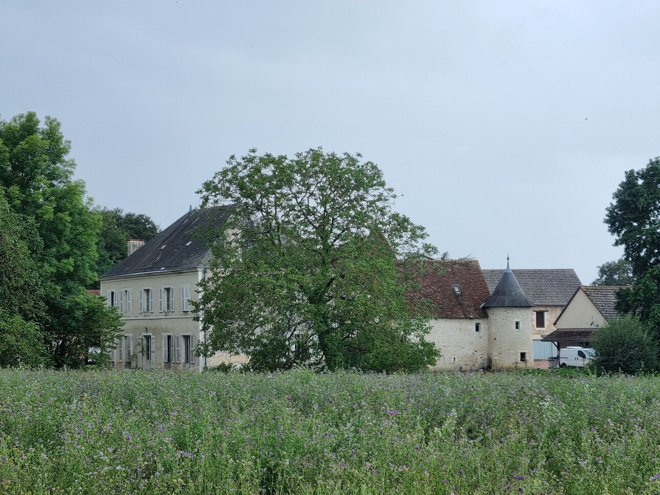 Photos 4 - Agricultural - Charming mansion with 73 ha of land and wood