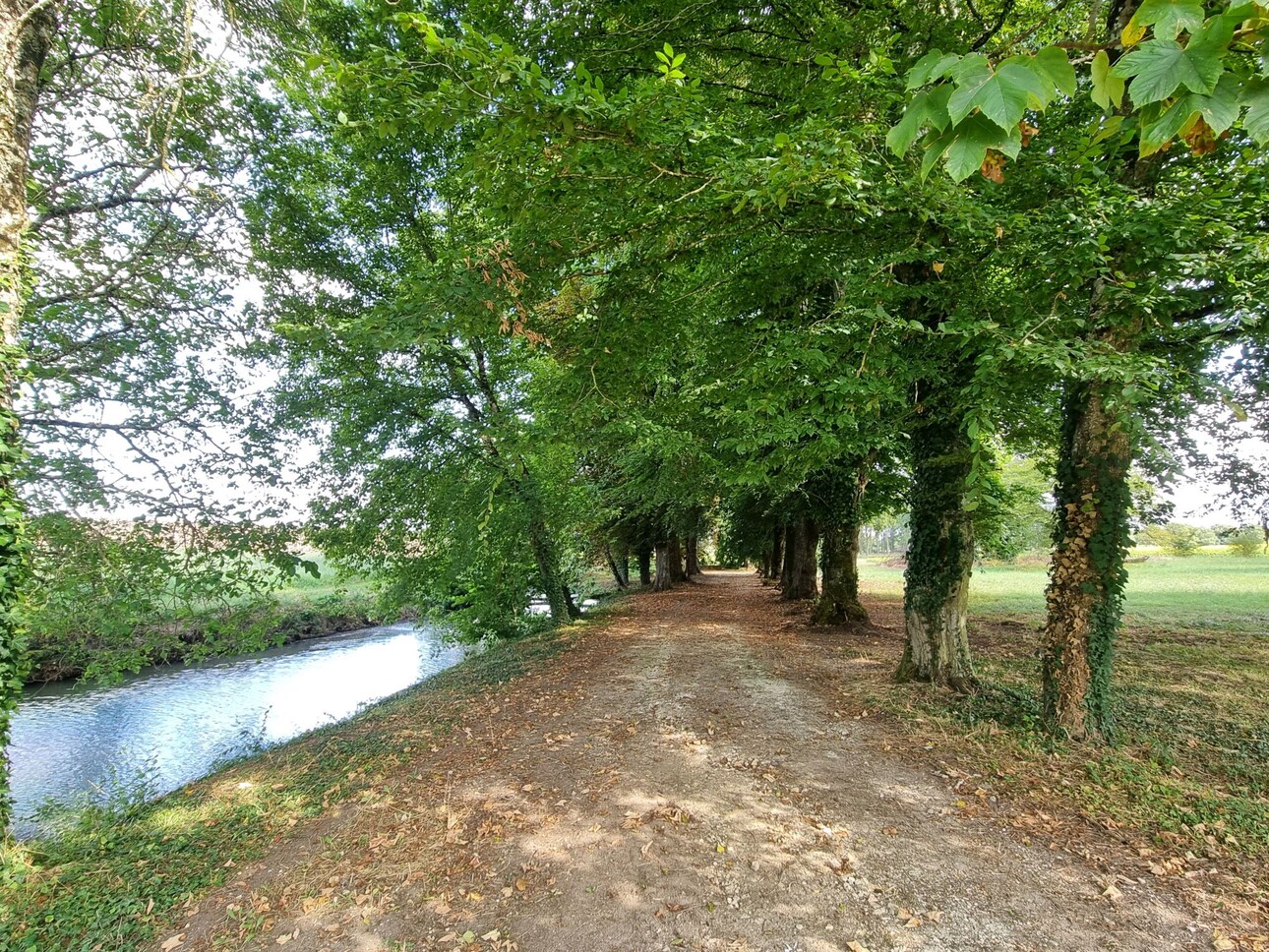 Photos 5 - Agricultural - Charming mansion with 73 ha of land and wood