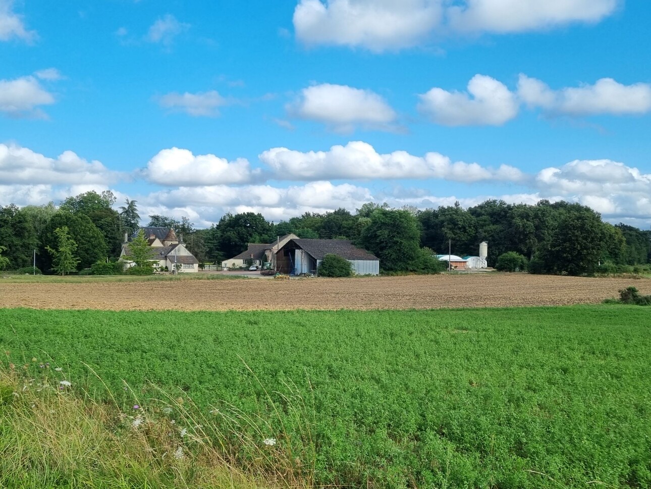 Photos 6 - Agricultural - Charming mansion with 73 ha of land and wood