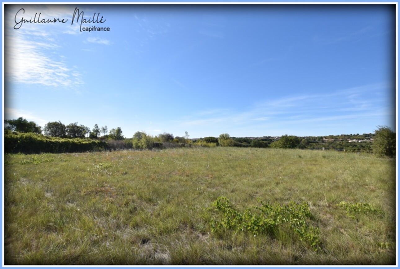 Photos 3 - Foncière - Terrains agricoles à vendre ROUJAN 5 970m²