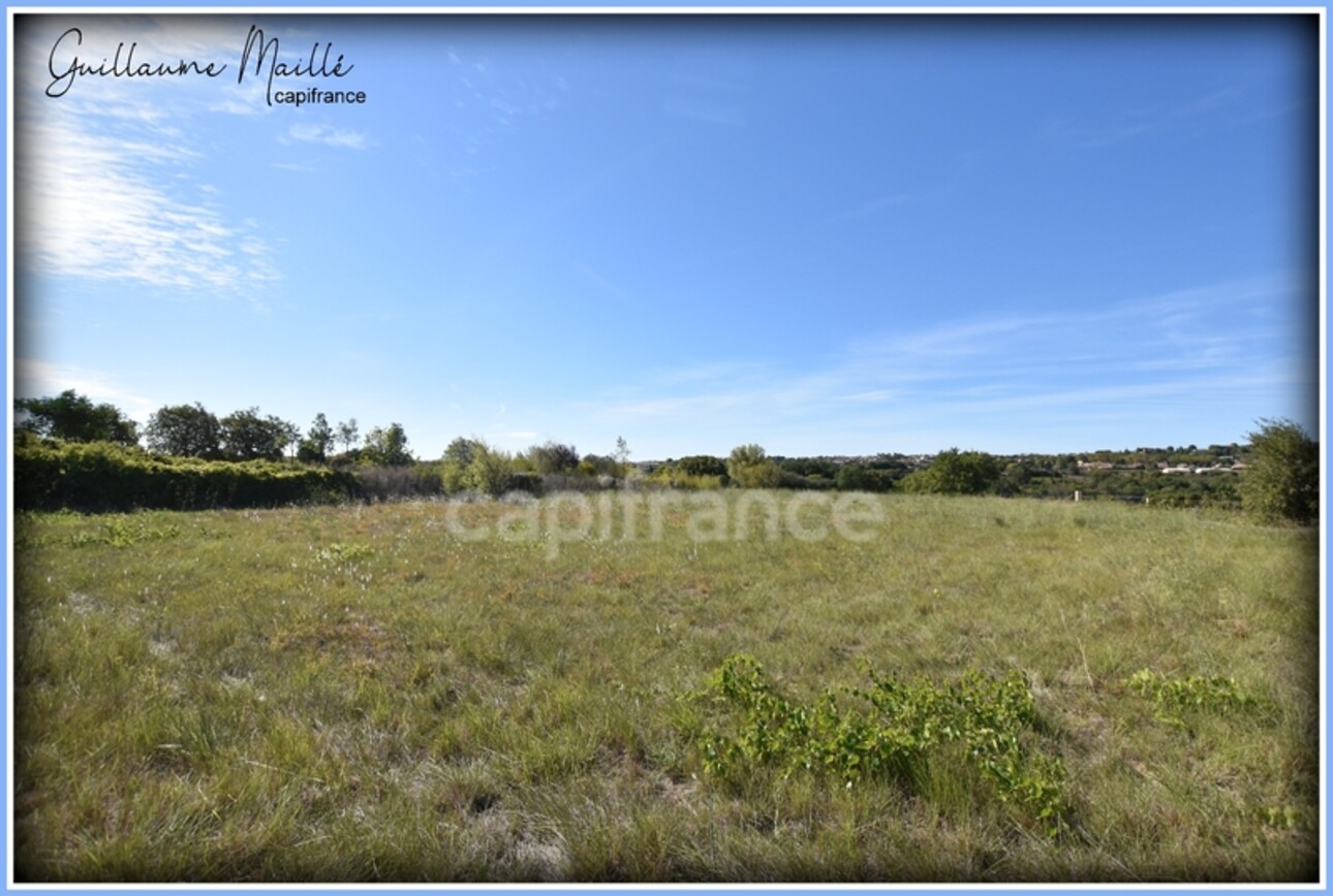 Photos 1 - Foncière - Terrains agricoles à vendre ROUJAN 13 660m²