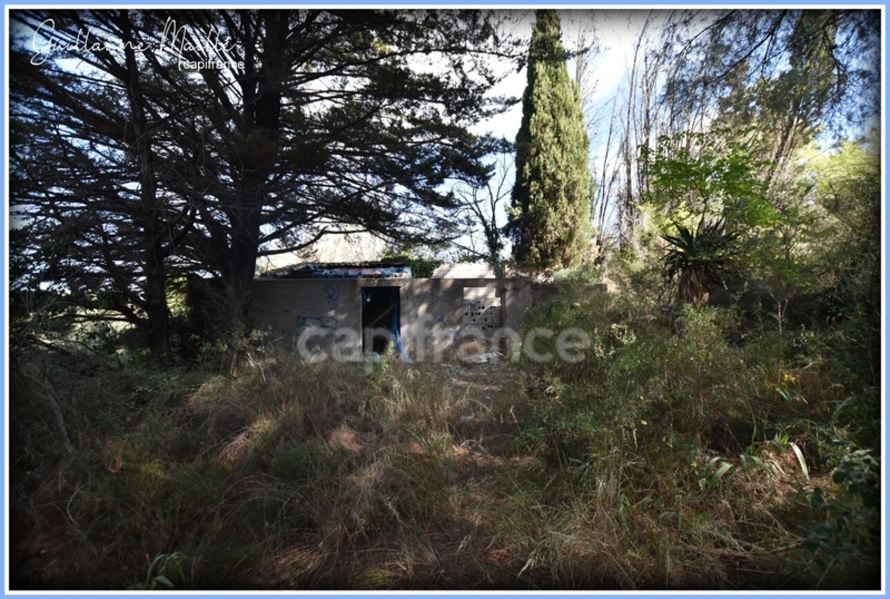 Photos 6 - Foncière - Terrains agricoles à vendre ROUJAN 13 660m²