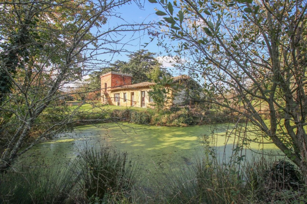 Photos 8 - Équestre - Domaine
