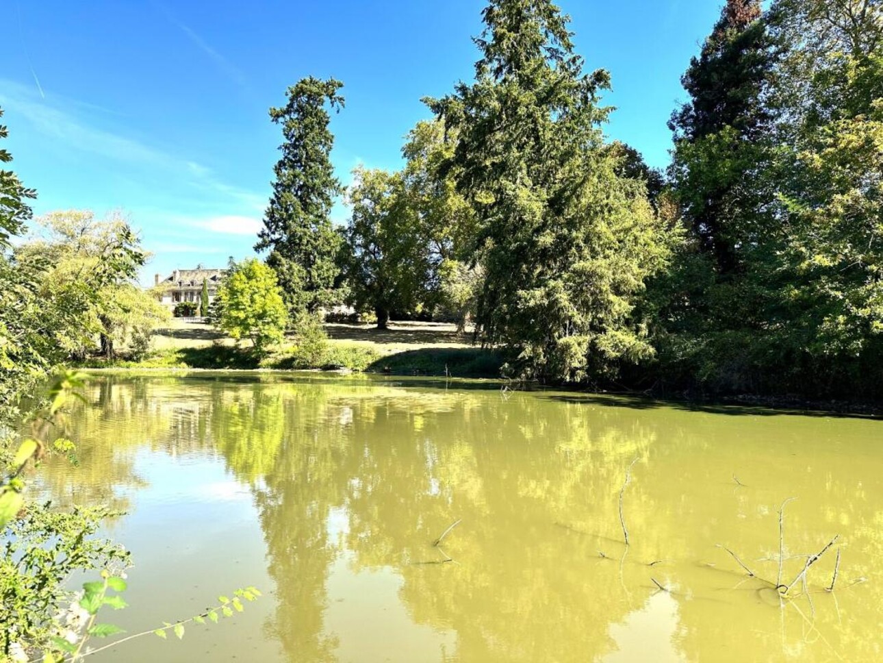 Photos 12 - Prestigious - Manorhouse