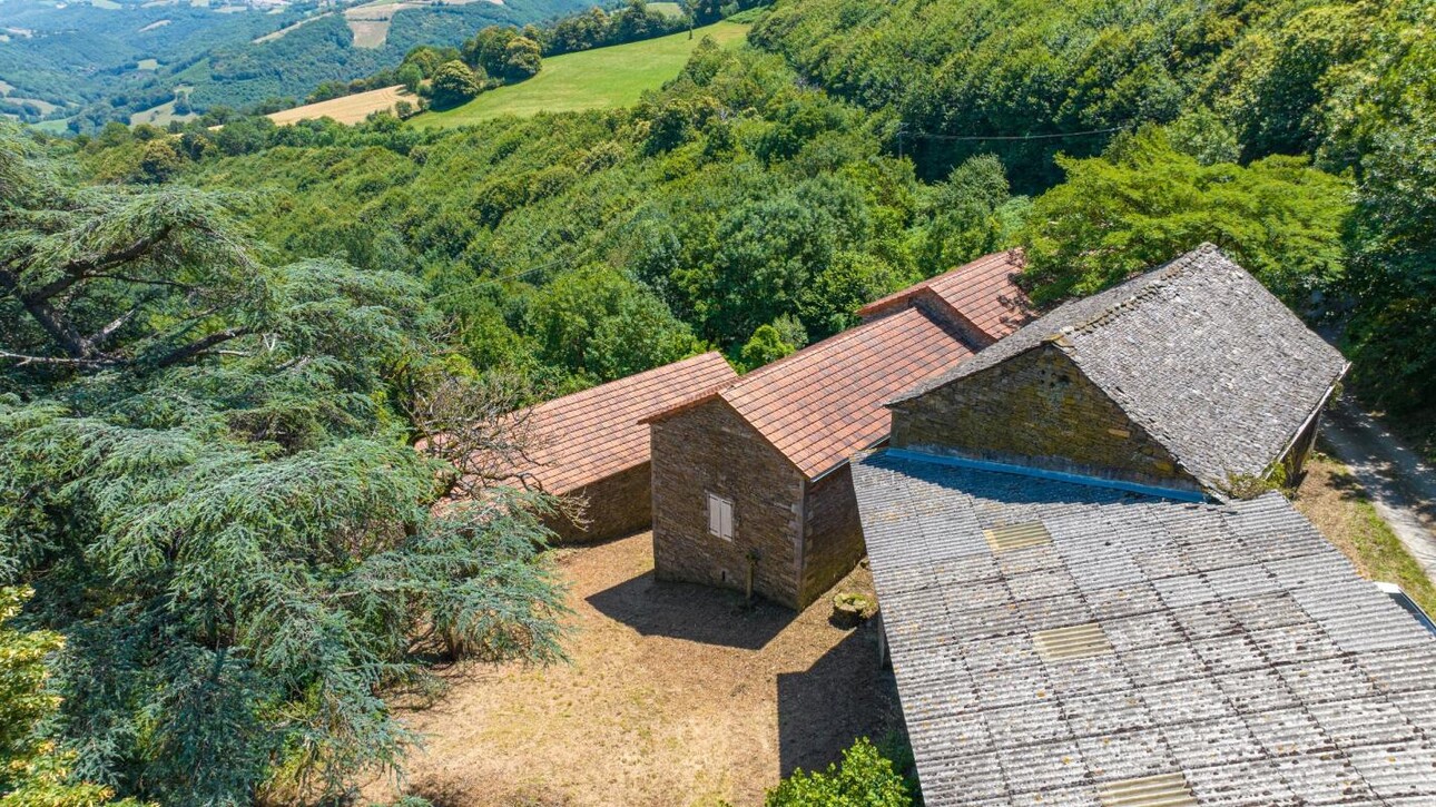 Photos 11 - Equestrian - Farmhouse
