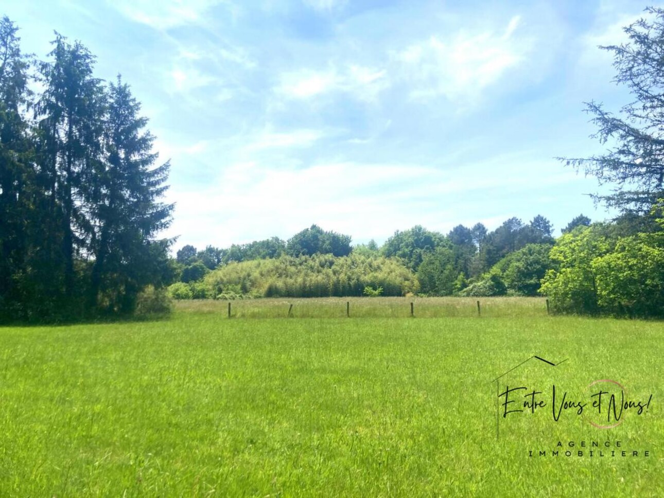 Photos 4 - Equestrian - PROPRIÉTÉ A VOCATION EQUESTRE 257M2, 2 SÉCHOIRS, SUR 7,5HA