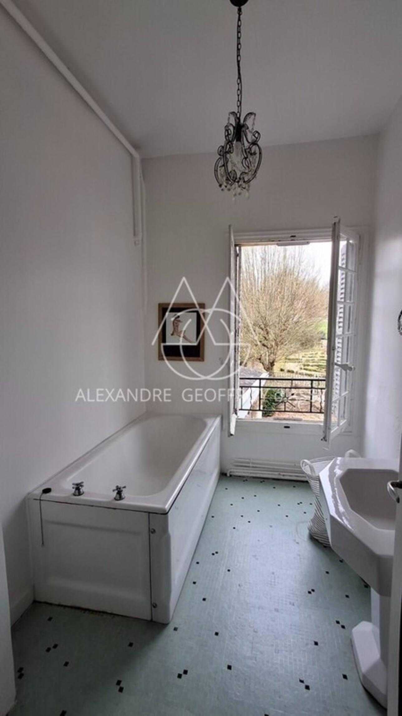 Photos 10 - Prestige - Château à 10 min de Tours de 500m2 sur un magnifique parc de 5ha