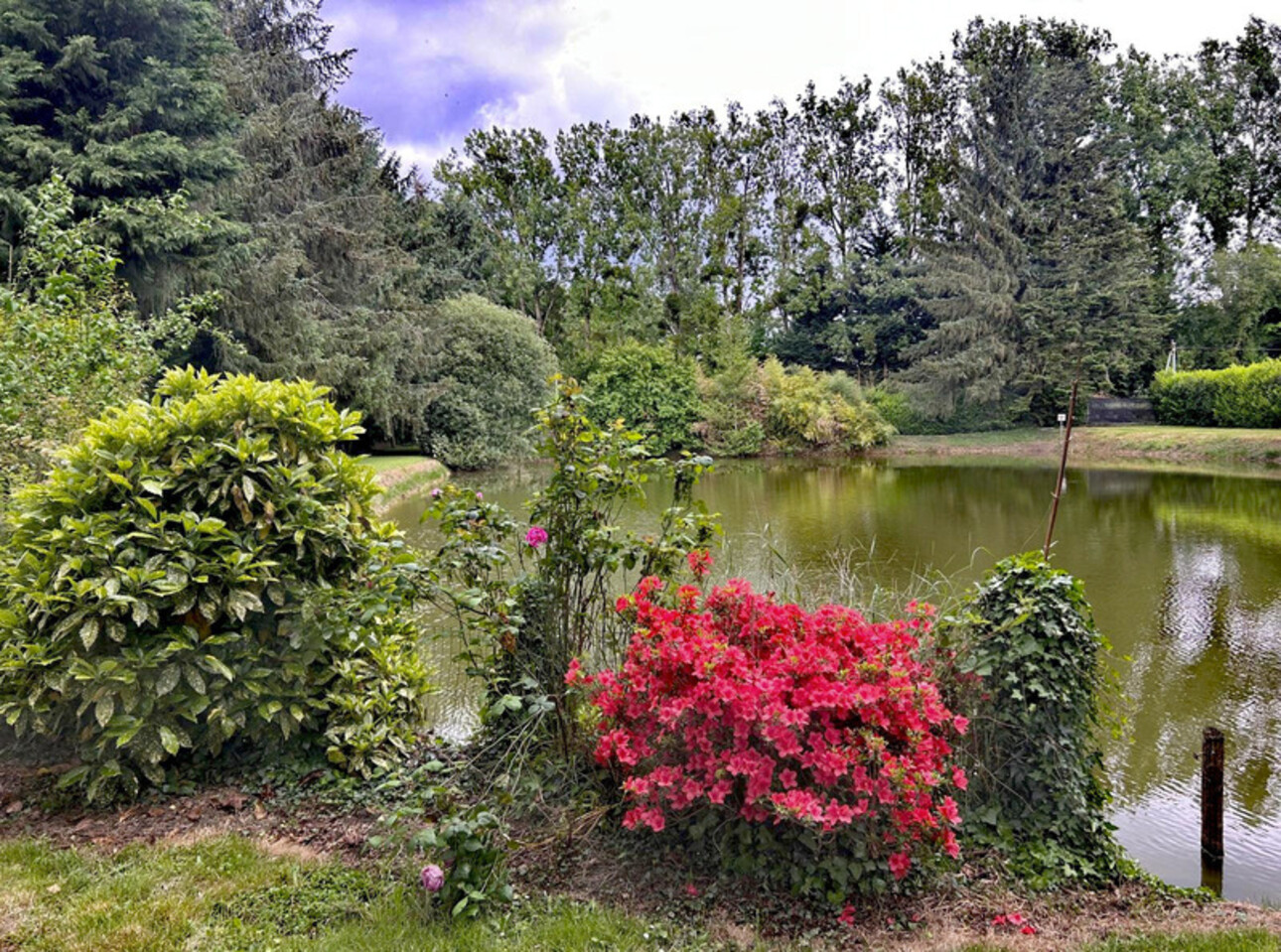 Photos 1 - Foncière - Terrain à vendre de 3 500,00 m² CUILLE (53)