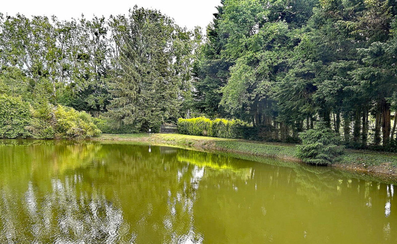 Photos 4 - Foncière - Terrain à vendre de 3 500,00 m² CUILLE (53)