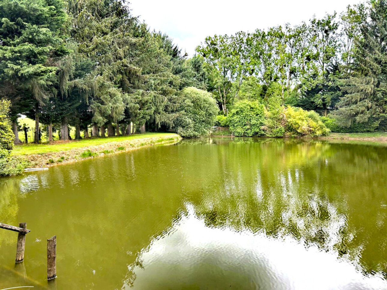 Photos 7 - Foncière - Terrain à vendre de 3 500,00 m² CUILLE (53)
