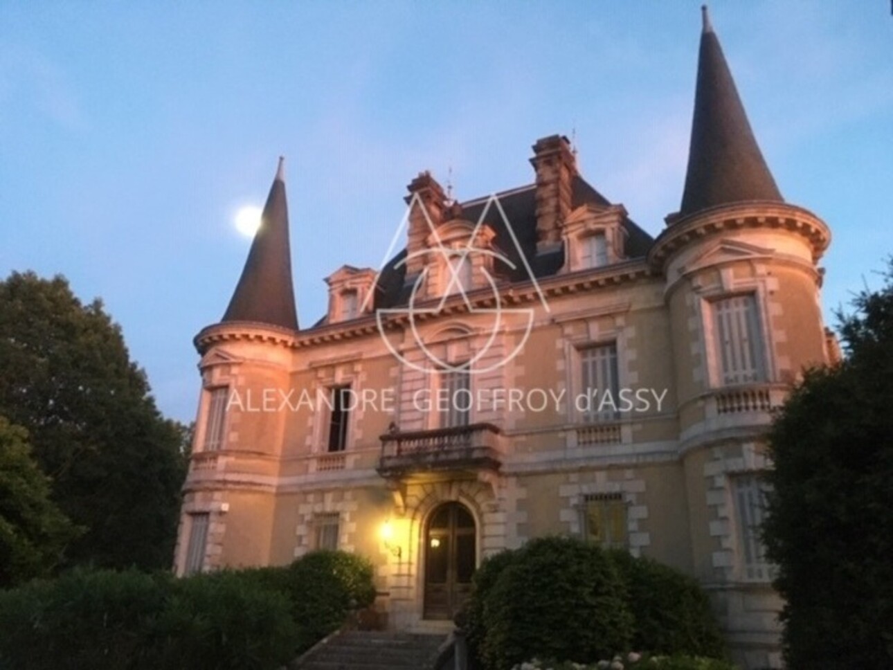 Photos 3 - Prestige - Château 19ème d'environ 1000 m² habitables