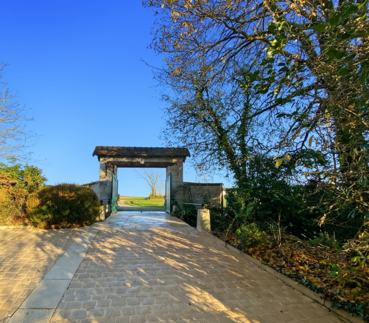 Photos 2 - Prestige - Dpt Vienne (86), à vendre à Thuré,  Maison de Maître 16 pièces 670m2-35720 m2