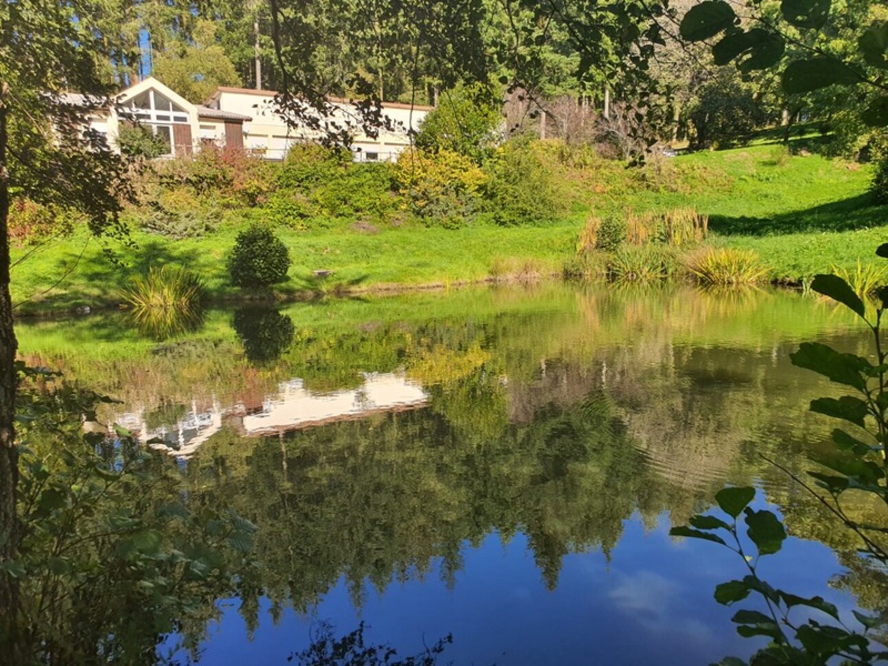 Photos 1 - Touristique - Dpt Vosges (88), à vendre proche REMIREMONT - PROPRIÉTÉ PLAIN-PIED idéal GITE DE GROUPE avec ETANG