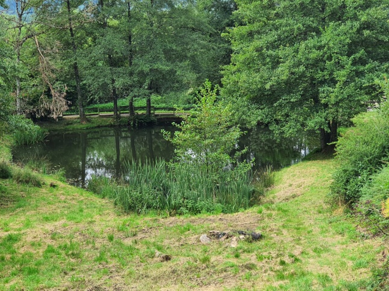 Photos 6 - Touristique - Dpt Vosges (88), à vendre proche REMIREMONT - PROPRIÉTÉ PLAIN-PIED idéal GITE DE GROUPE avec ETANG