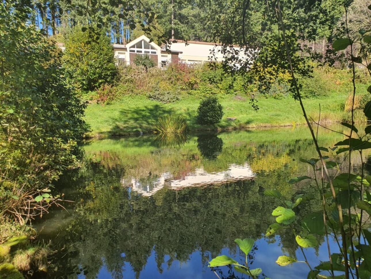 Photos 43 - Touristique - Dpt Vosges (88), à vendre proche REMIREMONT - PROPRIÉTÉ PLAIN-PIED idéal GITE DE GROUPE avec ETANG