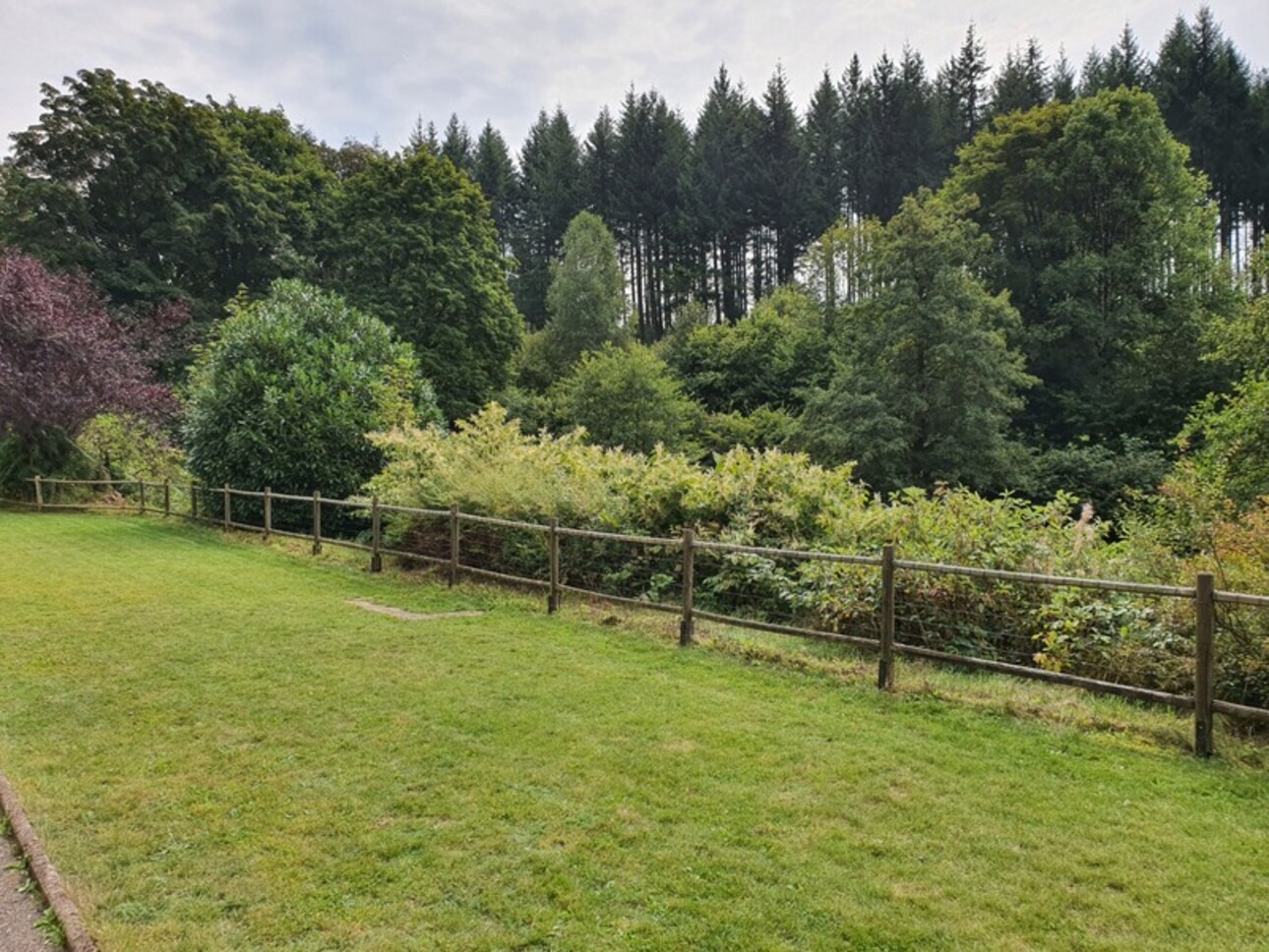 Photos 46 - Touristique - Dpt Vosges (88), à vendre proche REMIREMONT - PROPRIÉTÉ PLAIN-PIED idéal GITE DE GROUPE avec ETANG