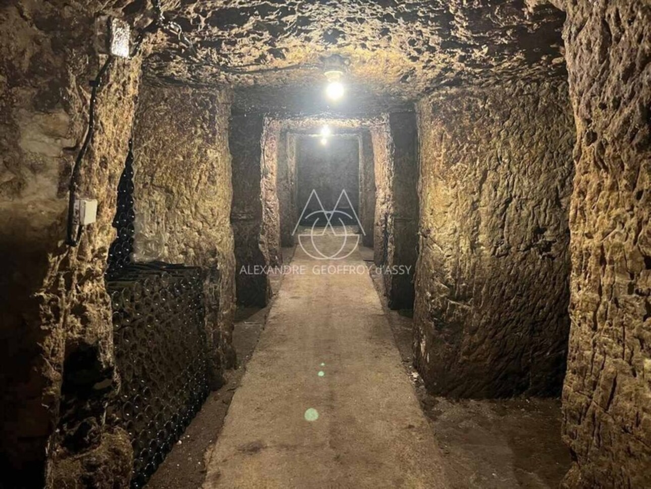 Photos 4 - Viticole - Rare opportunité… Vignoble en appellation Vouvray de 20 ha