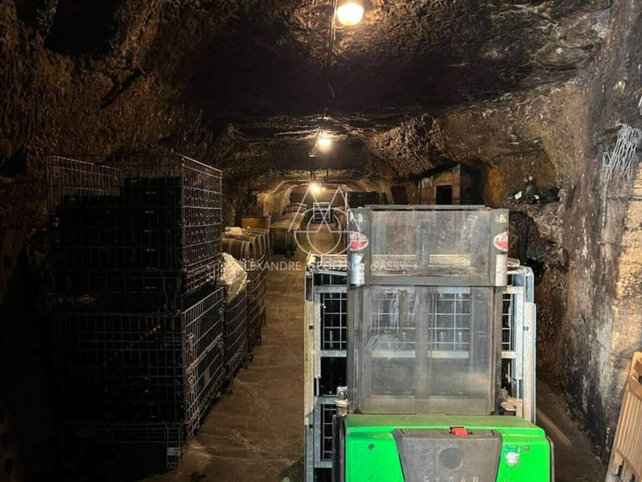 Photos 6 - Viticole - Rare opportunité… Vignoble en appellation Vouvray de 20 ha