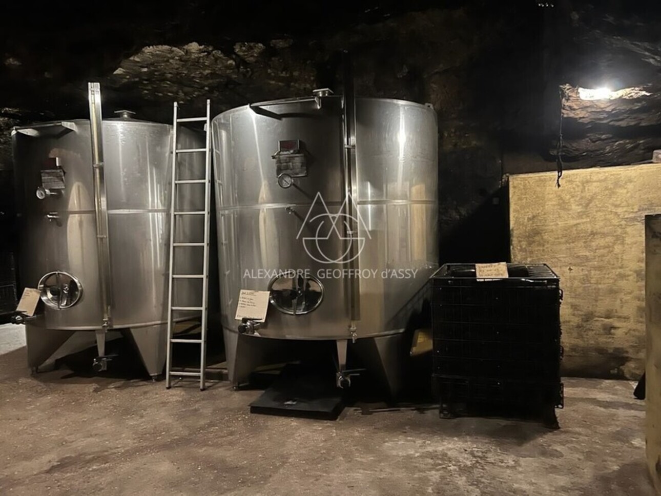 Photos 10 - Viticole - Rare opportunité… Vignoble en appellation Vouvray de 20 ha