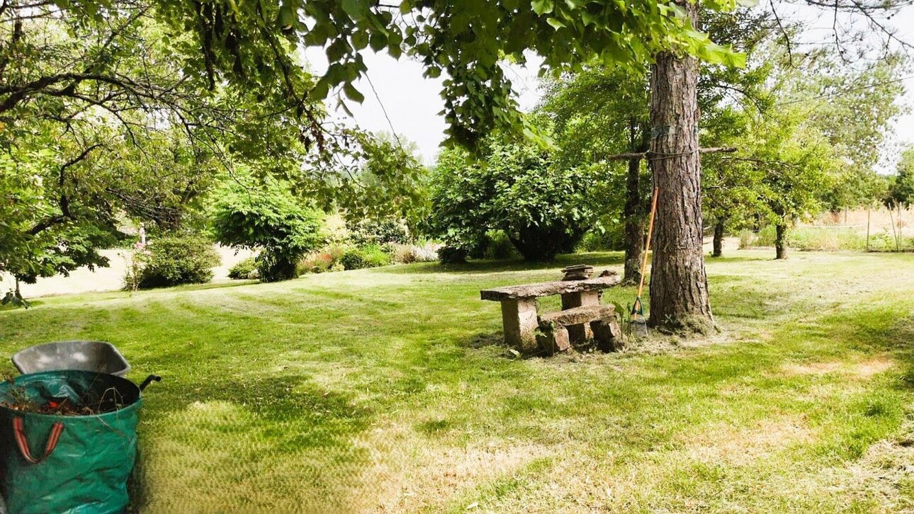 Photos 15 - Equestrian - Property