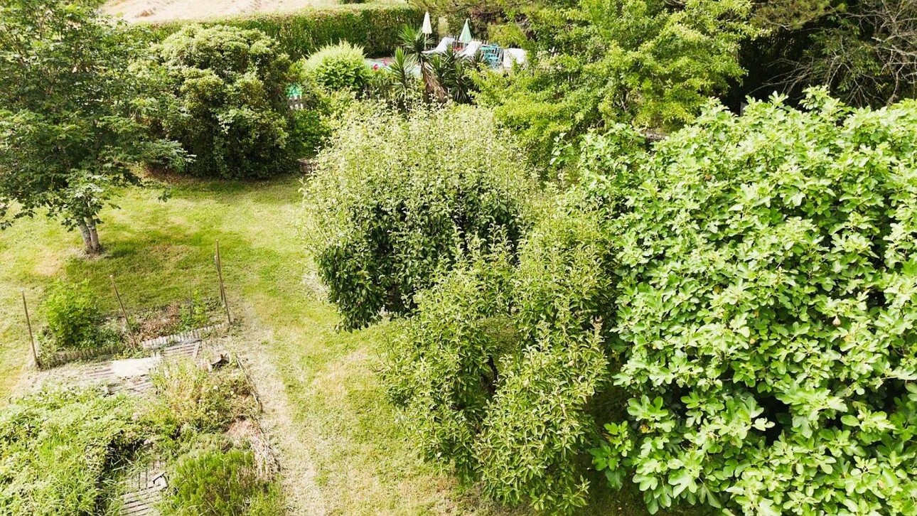 Photos 16 - Equestrian - Property