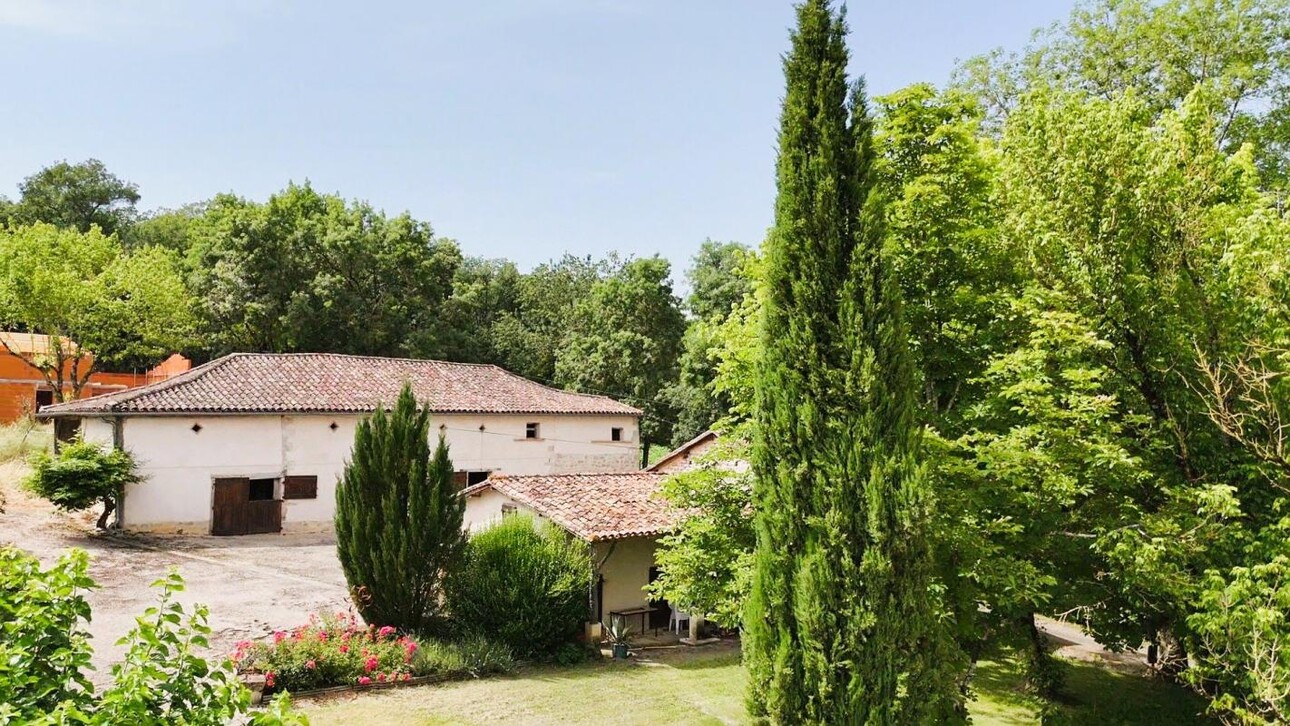 Photos 17 - Equestrian - Property