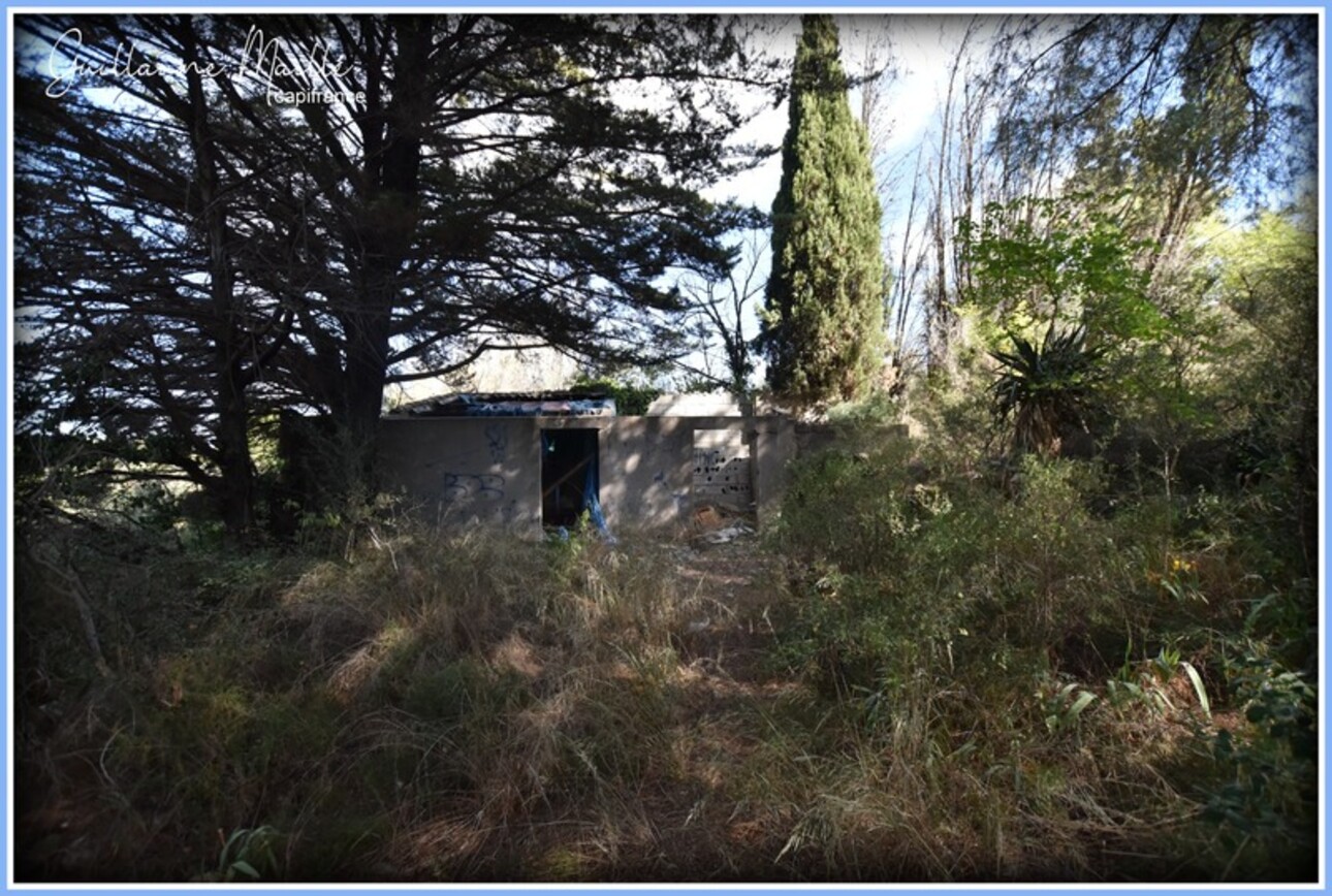 Photos 3 - Foncière - Terrains agricoles à vendre ROUJAN 13 660m²