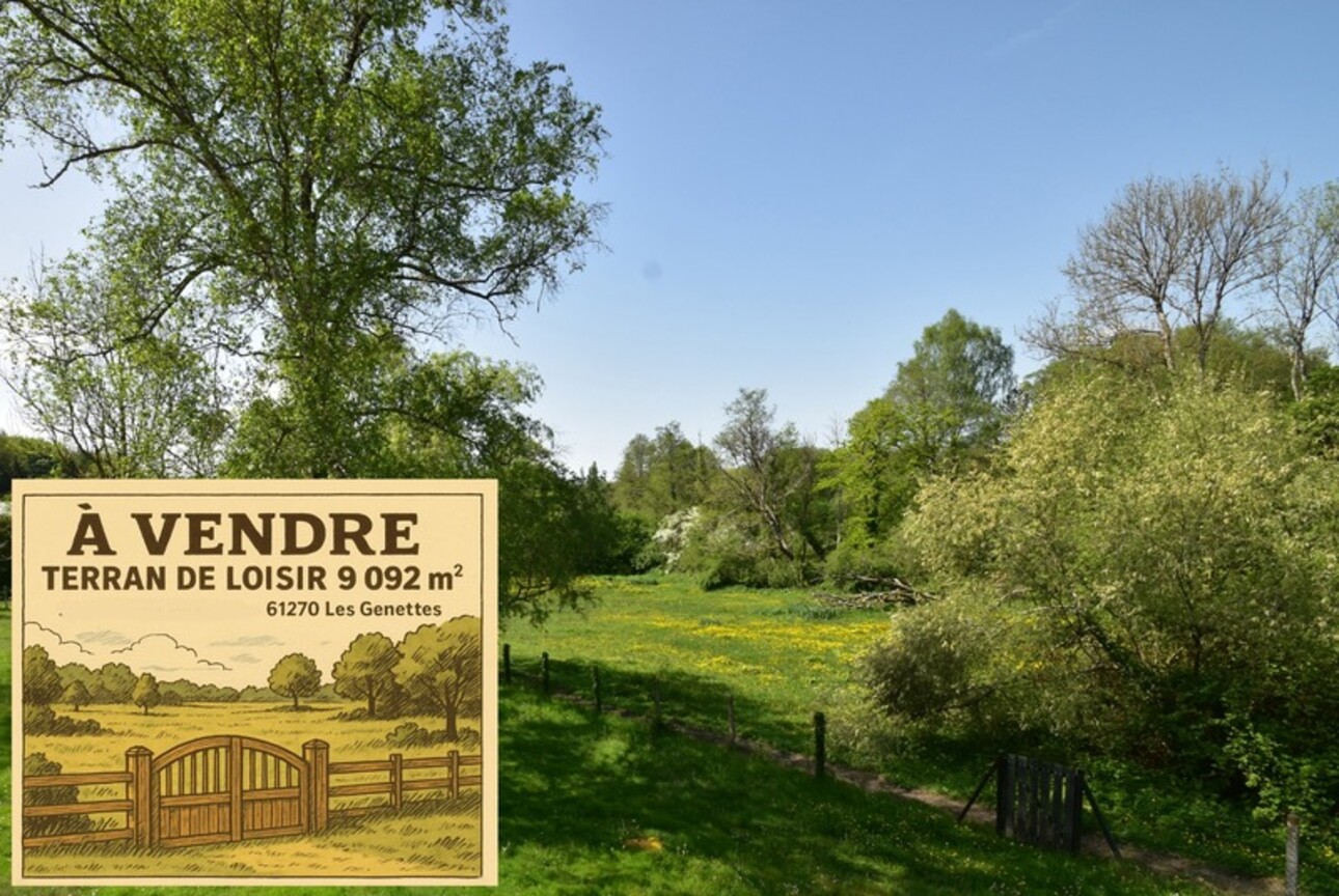 Photos 1 - Foncière - À vendre – Terrain de loisir de 9 092 m² – Les Genettes (61270)