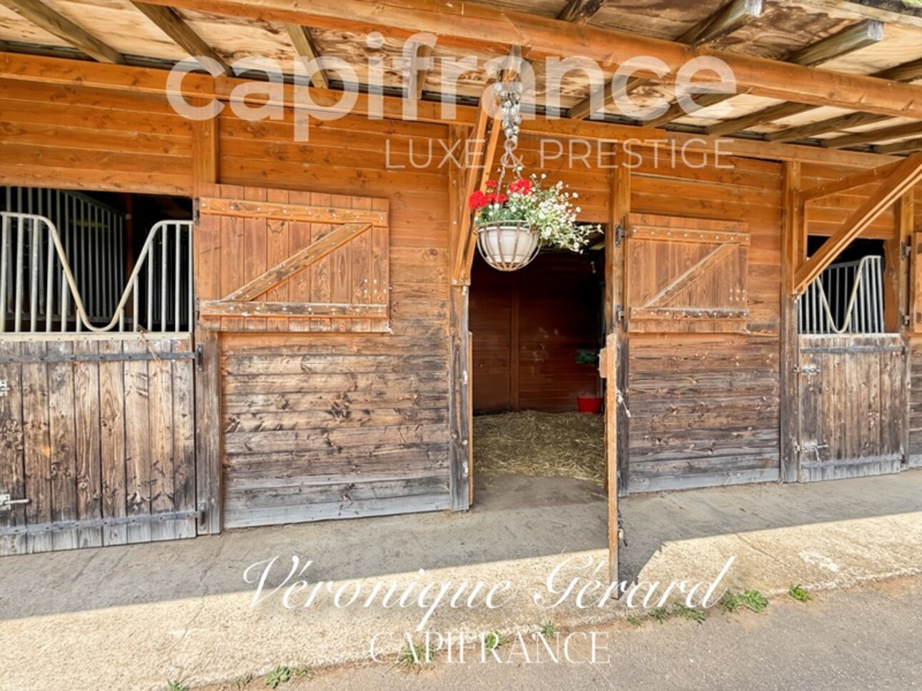 Photos 17 - Équestre - Propriété équestre de prestige de 187 M2 Longère et Installations Equestre à SALLEBOEUF