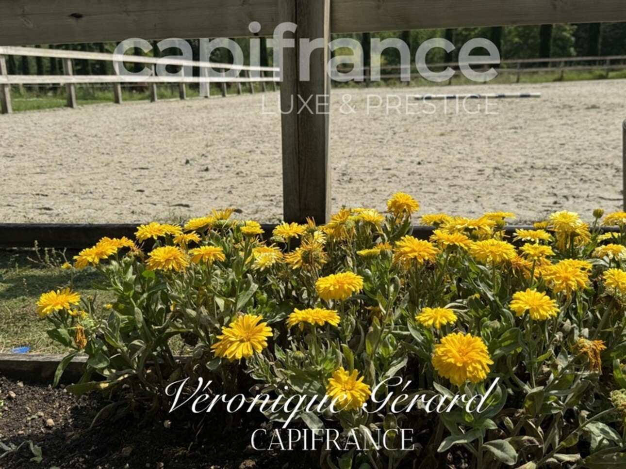Photos 27 - Équestre - Propriété équestre de prestige de 187 M2 Longère et Installations Equestre à SALLEBOEUF