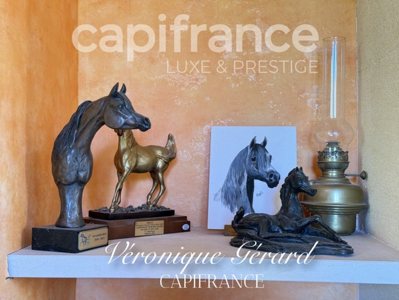 Photos 39 - Équestre - Propriété équestre de prestige de 187 M2 Longère et Installations Equestre à SALLEBOEUF