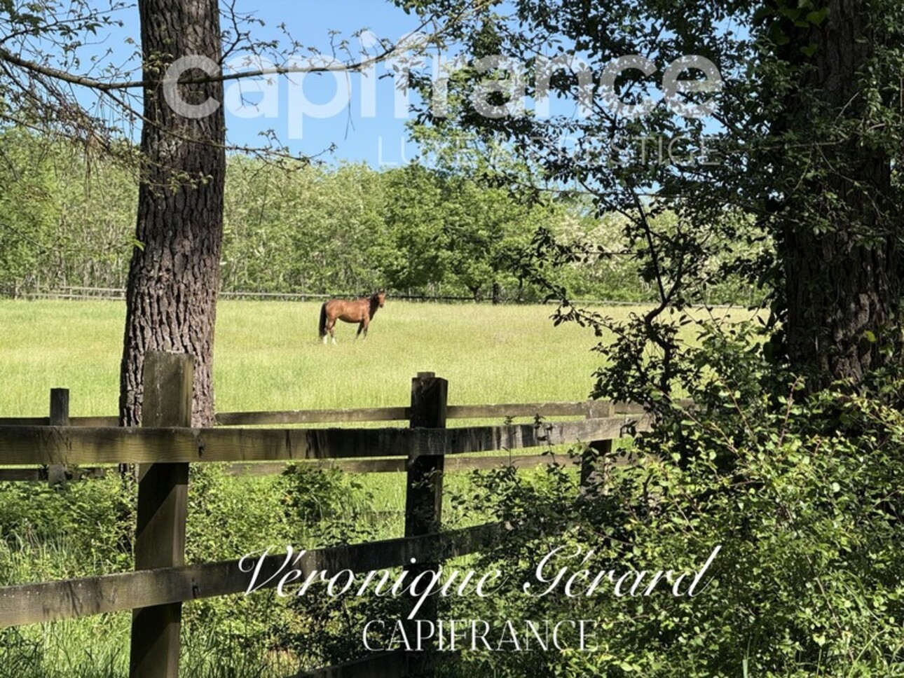 Photos 42 - Équestre - Propriété équestre de prestige de 187 M2 Longère et Installations Equestre à SALLEBOEUF