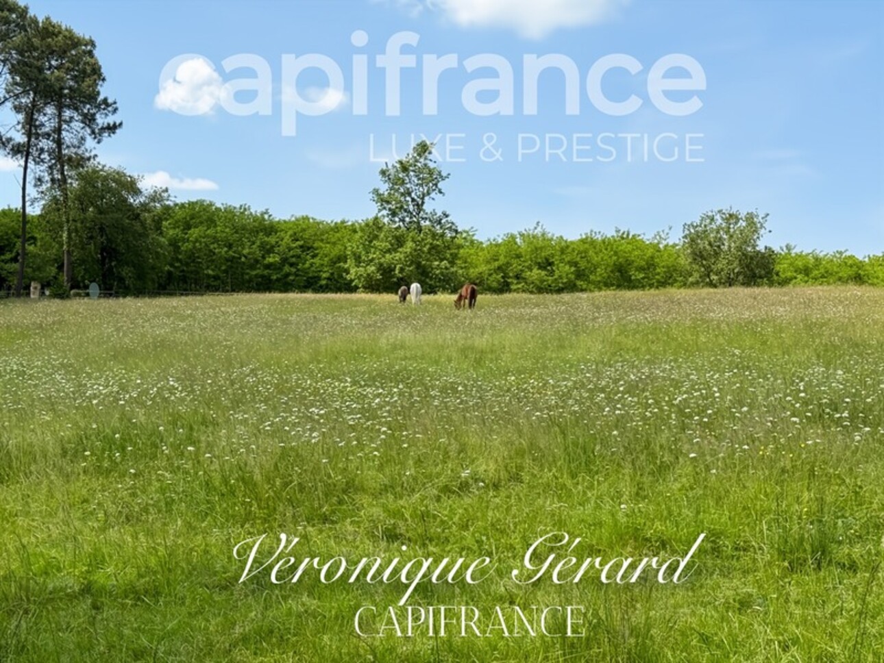 Photos 43 - Équestre - Propriété équestre de prestige de 187 M2 Longère et Installations Equestre à SALLEBOEUF