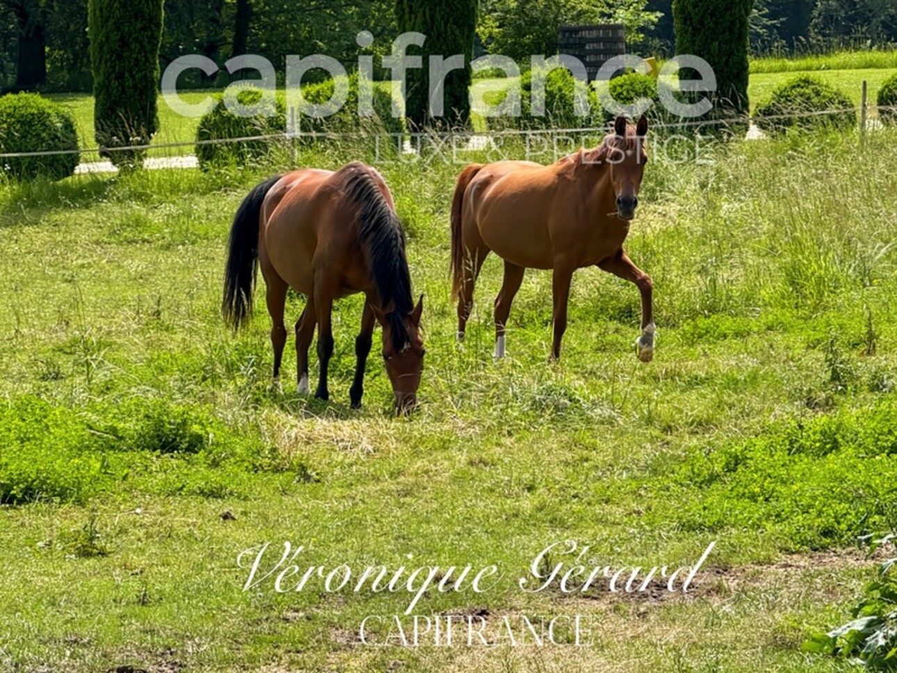 Photos 45 - Équestre - Propriété équestre de prestige de 187 M2 Longère et Installations Equestre à SALLEBOEUF