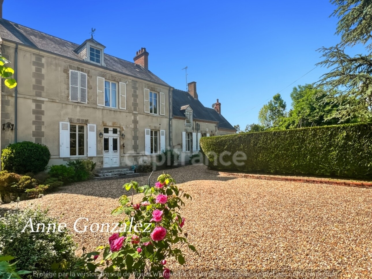 Photos 1 - Prestige - VITRY AUX LOGES, à vendre superbe Propriété du XIXème de plus de 300 m2, maison d'amis indépendante