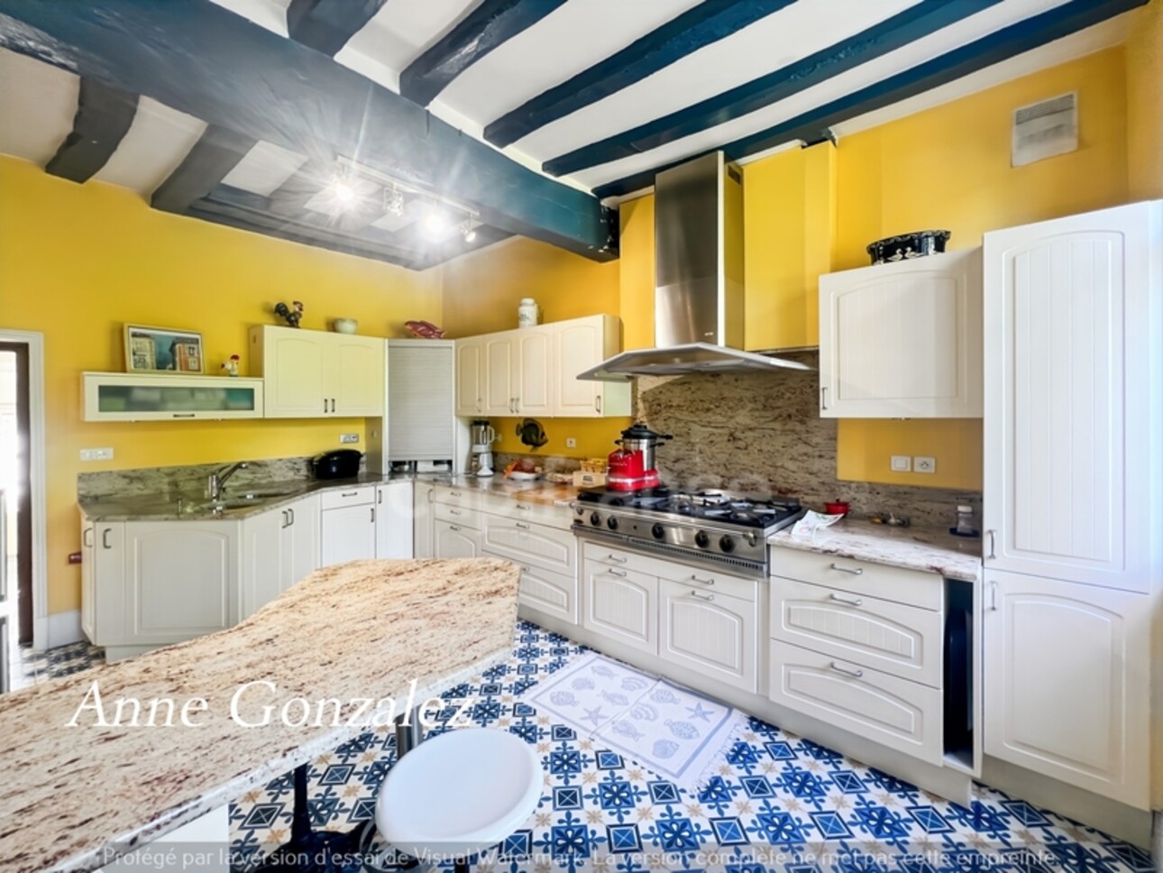 Photos 5 - Prestige - VITRY AUX LOGES, à vendre superbe Propriété du XIXème de plus de 300 m2, maison d'amis indépendante