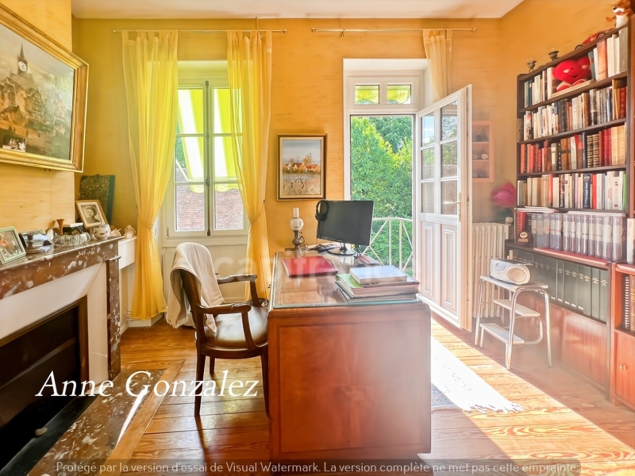 Photos 7 - Prestige - VITRY AUX LOGES, à vendre superbe Propriété du XIXème de plus de 300 m2, maison d'amis indépendante